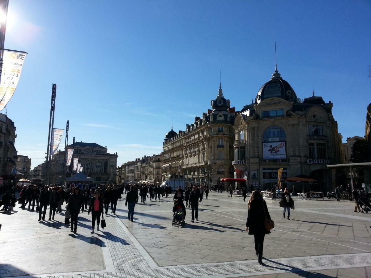 شقة Chambre Montpellier Campanules المظهر الخارجي الصورة